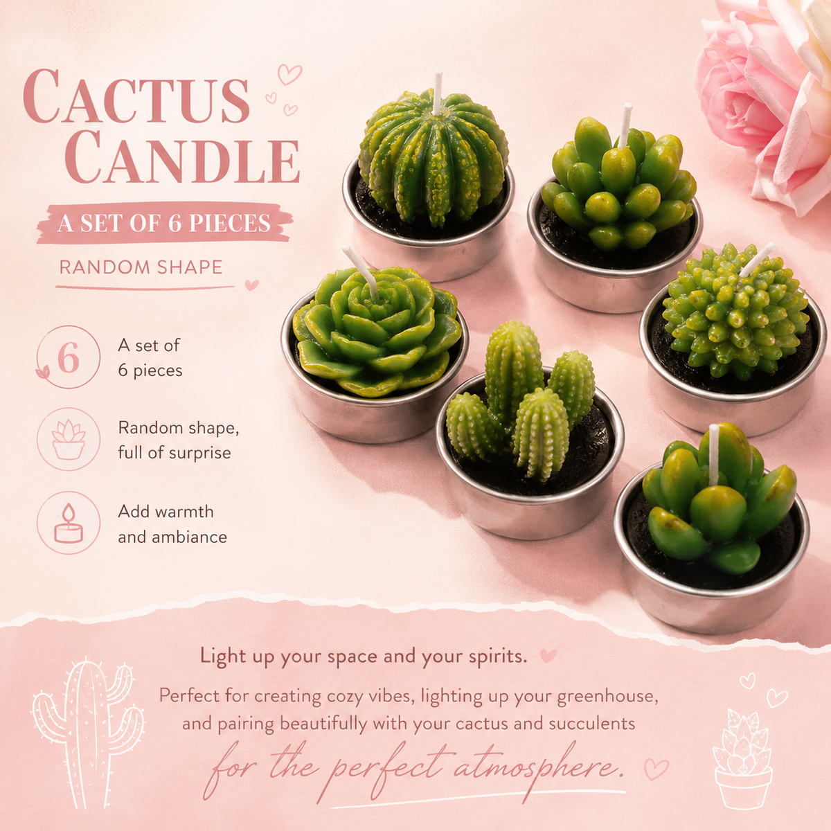 6PCS Mini Succulent & Cactus Candle Gift Set | Decorative Candles