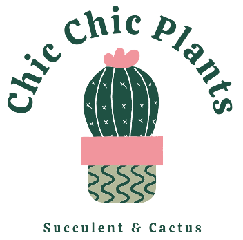 Welcome to Chic Chic Plants