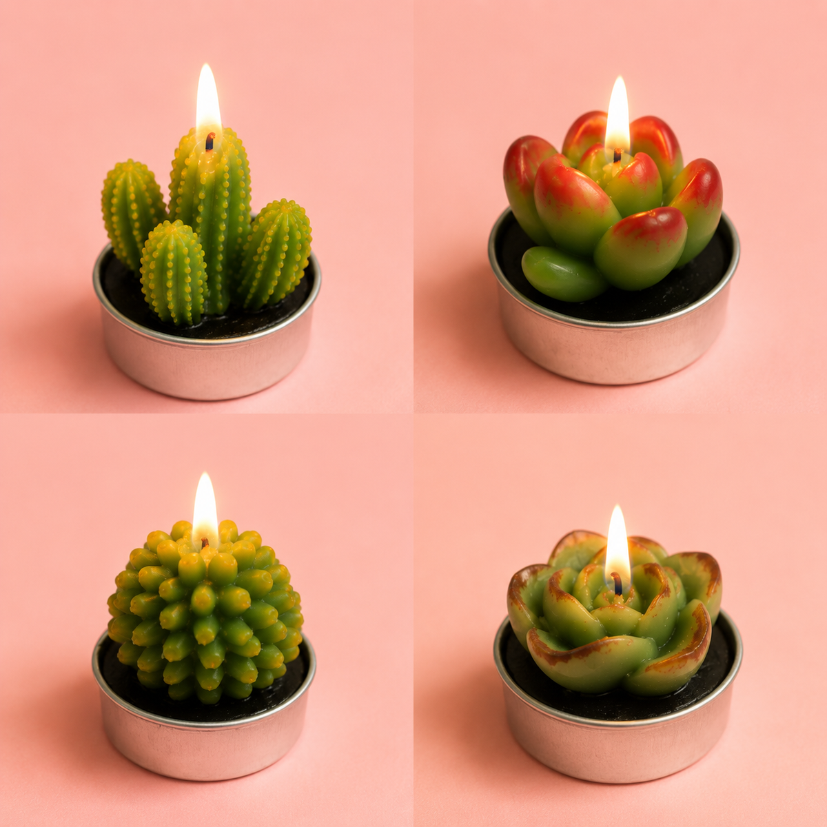 6PCS Mini Succulent & Cactus Candle Gift Set | Decorative Candles