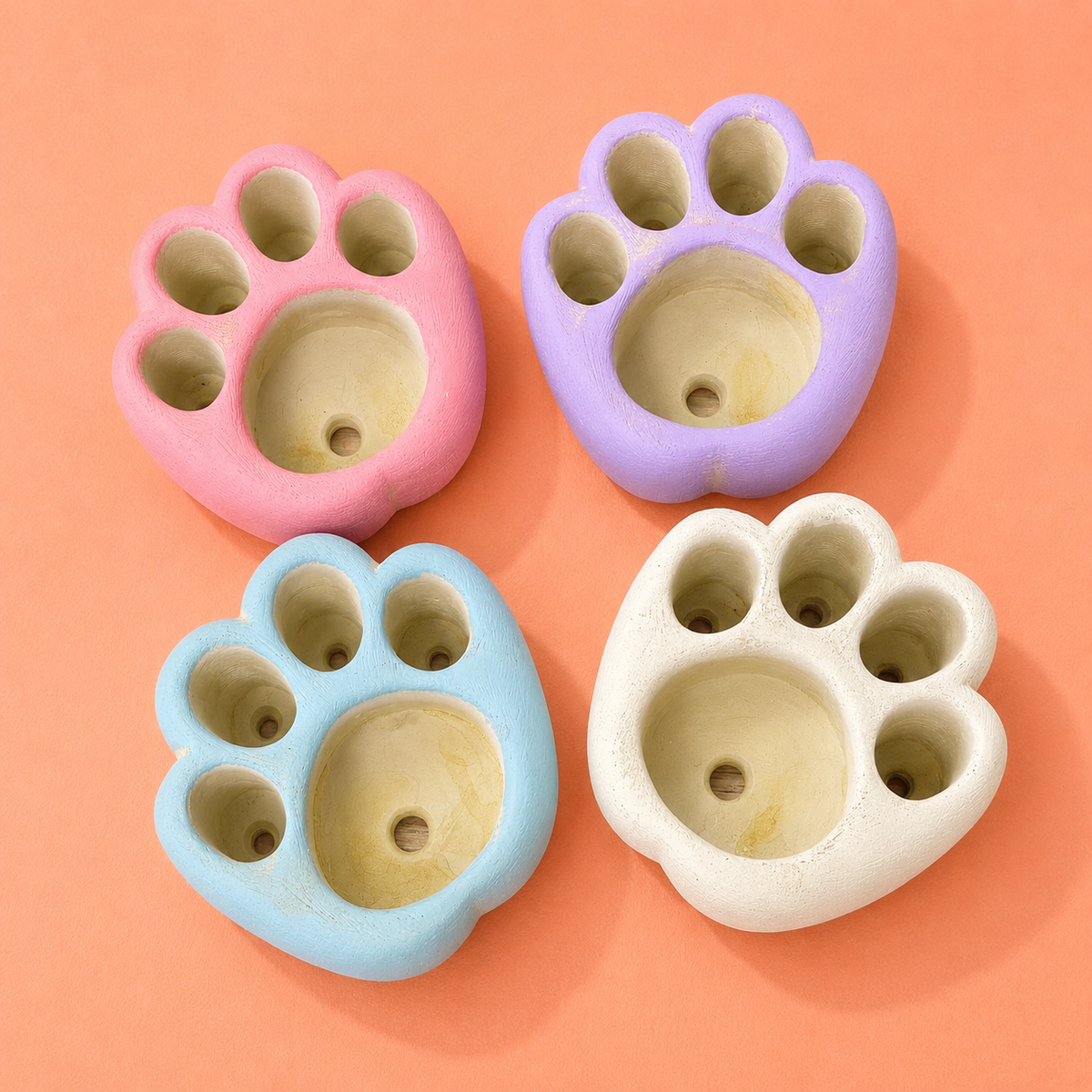 Living Stones Succulents with Paw pot Kit