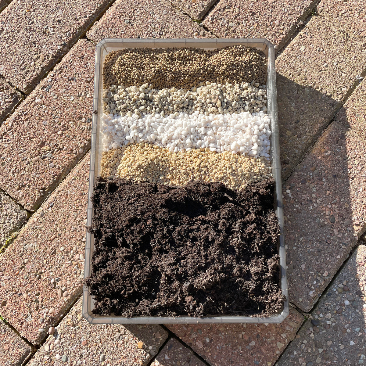 Premium Succulent Seedling Soil Mix - 0