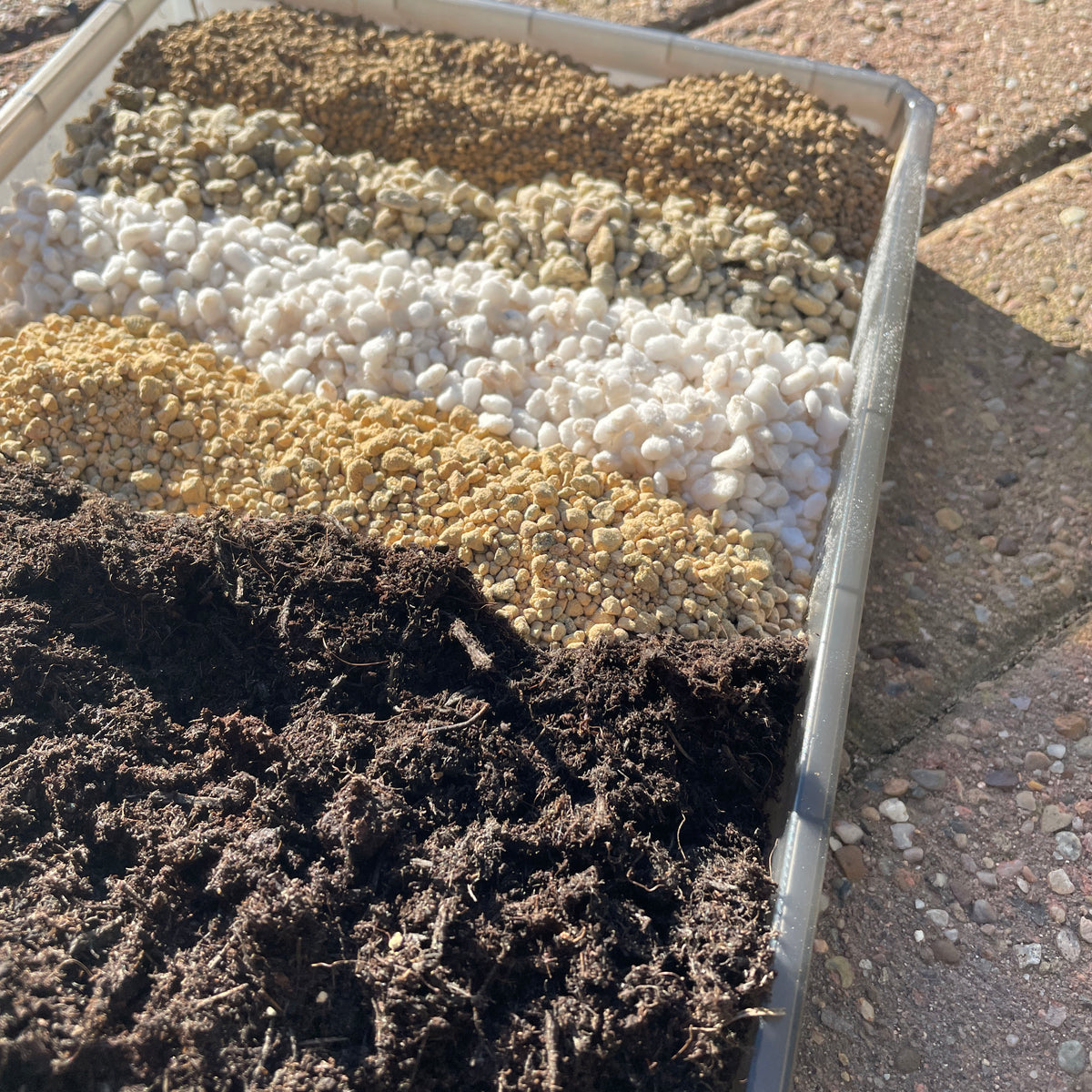 Premium Succulent Seedling Soil Mix - 0